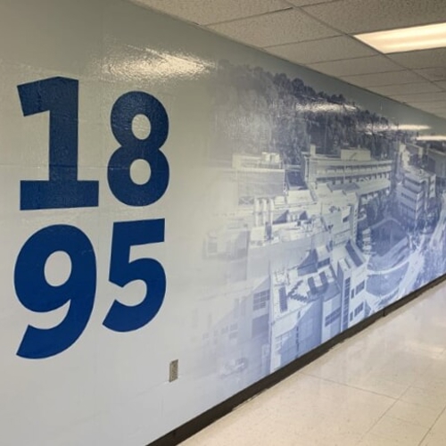 Wall Graphics